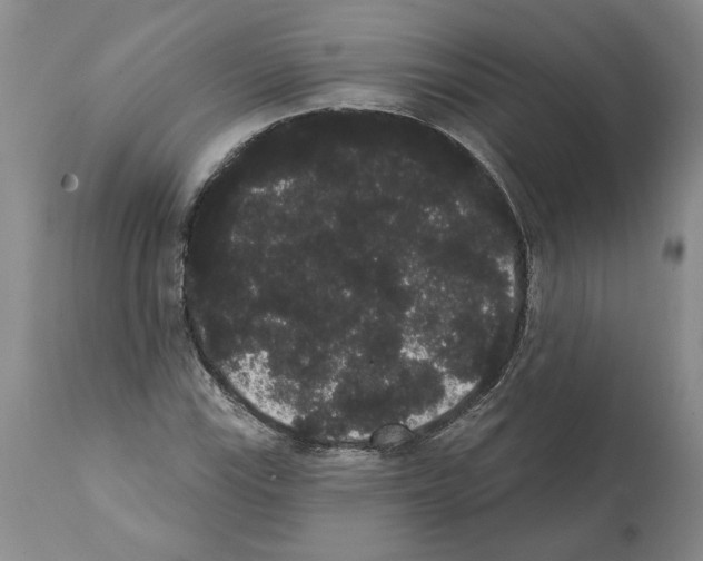 X0000112001115200909141054