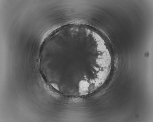 X0000112001117200909141054