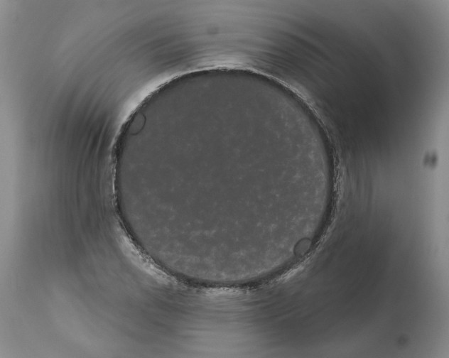 X0000112001118200909141054