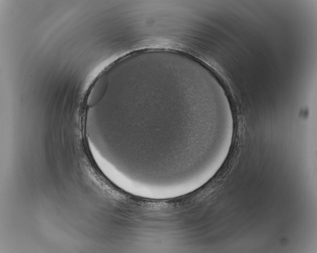 X0000112001120200909141054