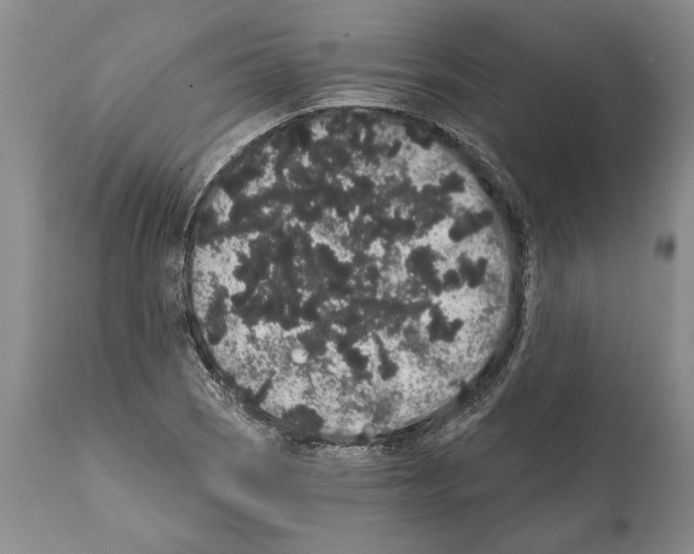 X0000112001121200909141054