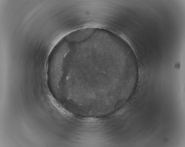 X0000112001124200909141054