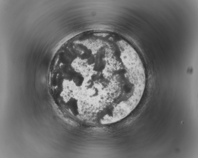 X0000112001125200909141054