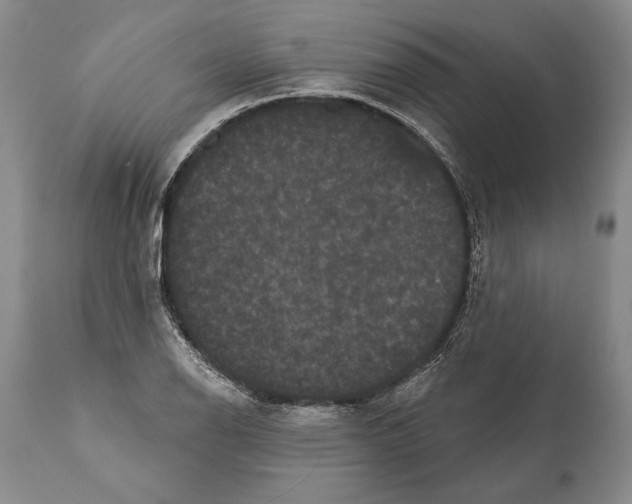 X0000112001126200909141054