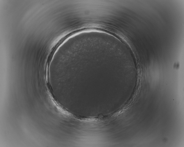 X0000112001127200909141054