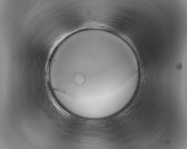 X0000112001128200909141055