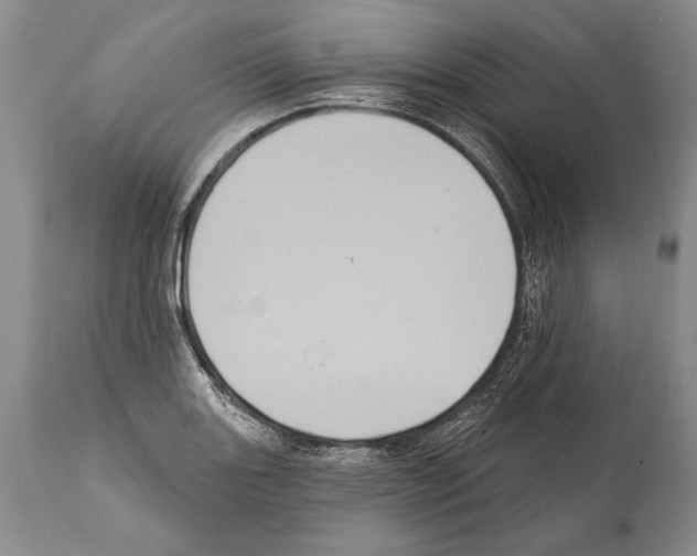 X0000112001131200909141055