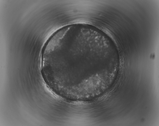 X0000112001132200909141055