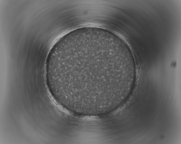 X0000112001133200909141055