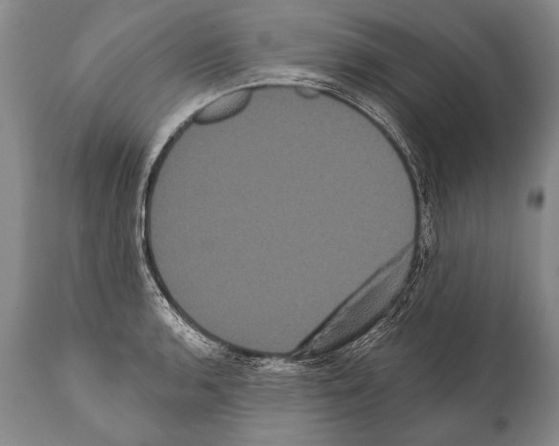 X0000112001136200909141055