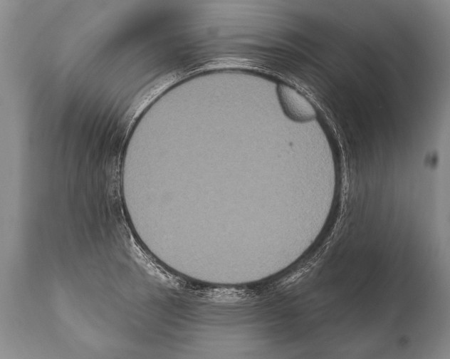 X0000112001137200909141055