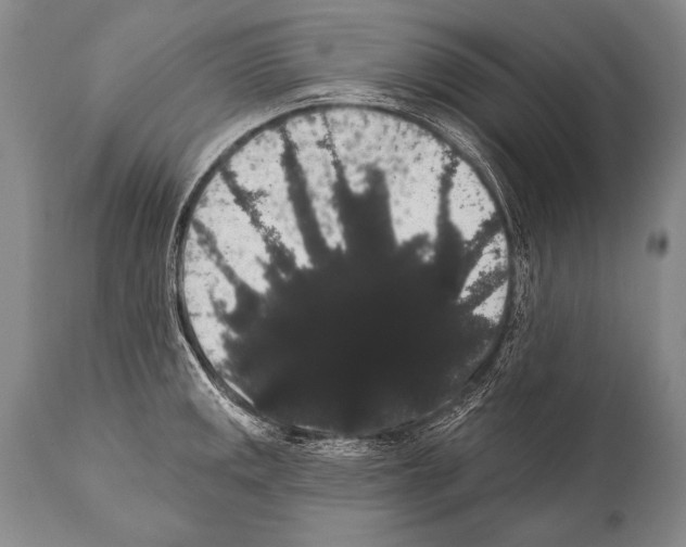 X0000112001141200909141055