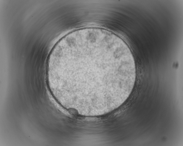 X0000112001142200909141055