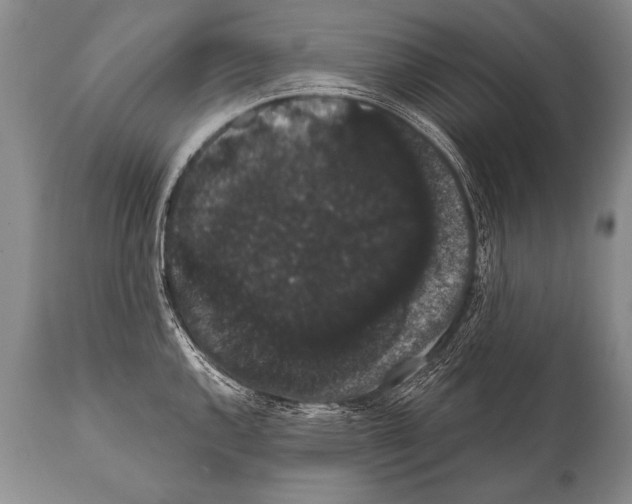 X0000112001144200909141055