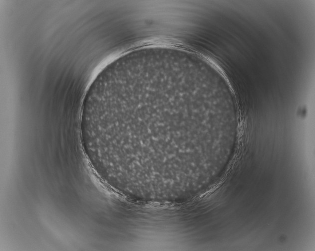 X0000112001146200909141055