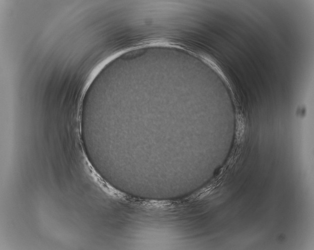 X0000112001148200909141055