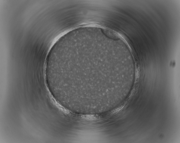 X0000112001149200909141055