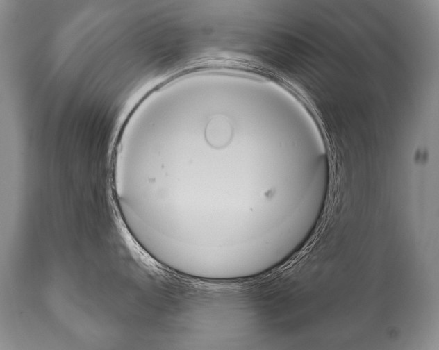 X0000112001152200909141055