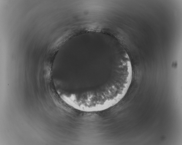 X0000112001154200909141054