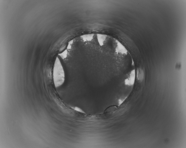 X0000112001155200909141054