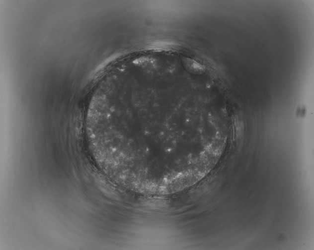 X0000112001158200909141054