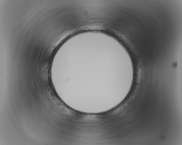 X0000112001162200909141054