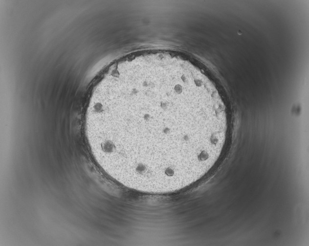 X0000112001163200909141054