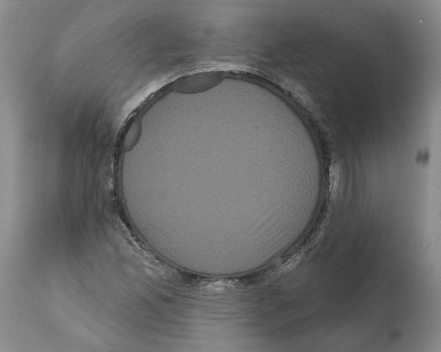 X0000112001165200909141054