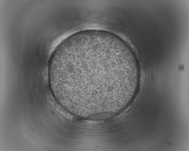 X0000112001167200909141054