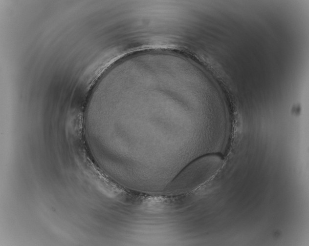 X0000112001169200909141054