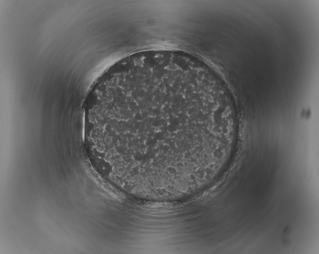 X0000112001171200909141054