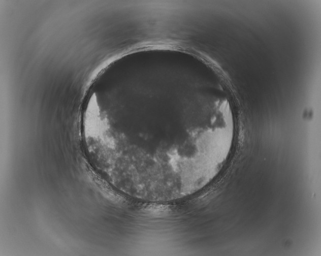 X0000112001174200909141054