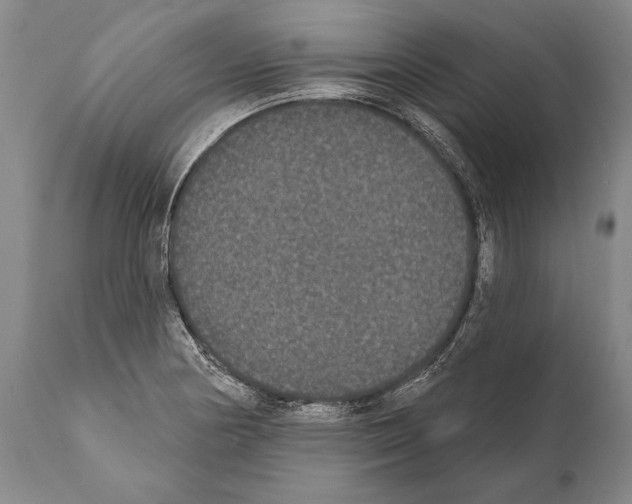 X0000112001178200909141054