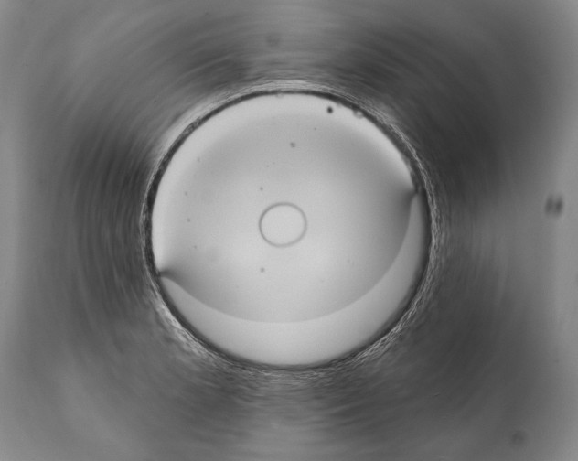 X0000112001181200909141054