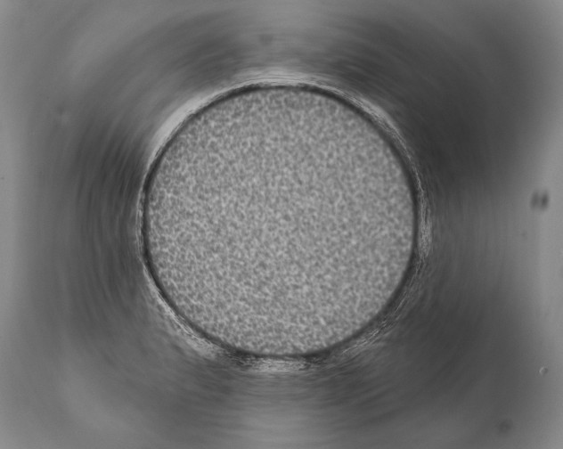 X0000112001183200909141053