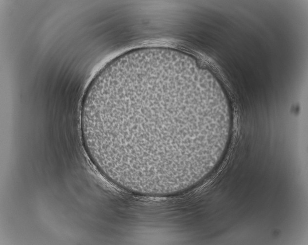 X0000112001184200909141053