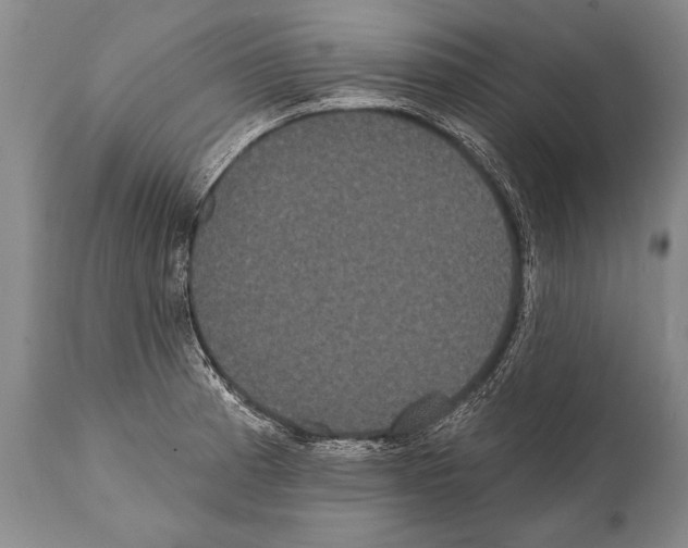 X0000112001185200909141053