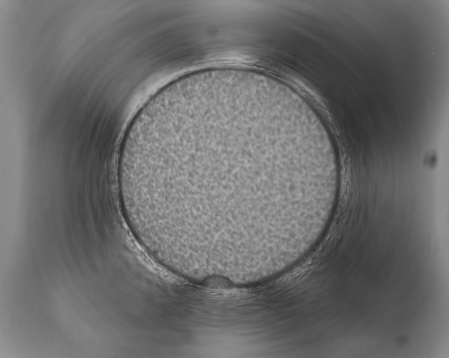 X0000112001192200909141053