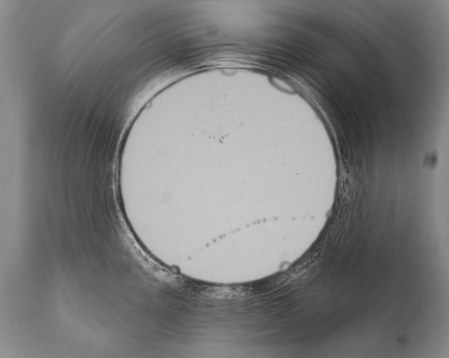 X0000112001195200909141053