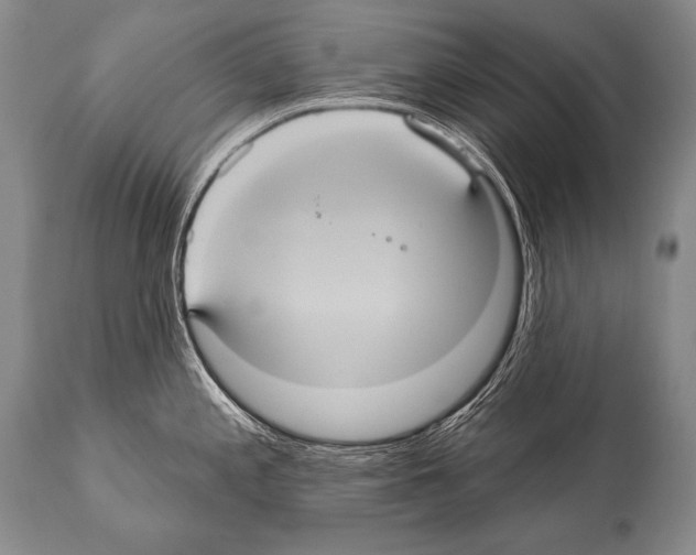 X0000112001197200909141053