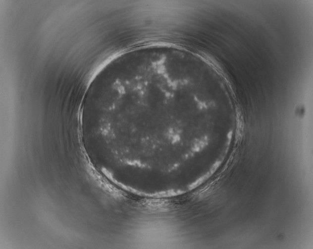 X0000112001198200909141053