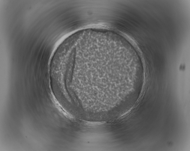 X0000112001200200909141053