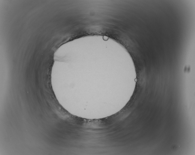 X0000112001201200909141053