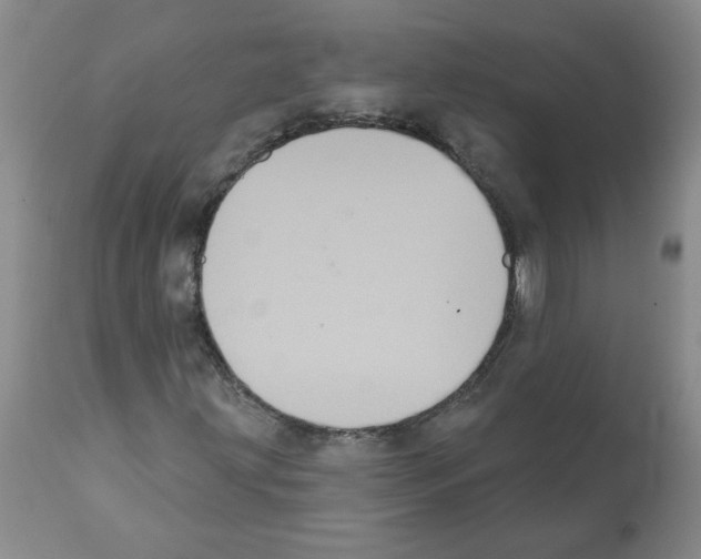 X0000112001203200909141053