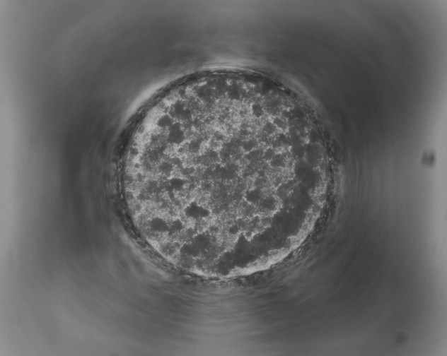 X0000112001208200909141053