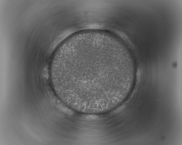 X0000112001209200909141053