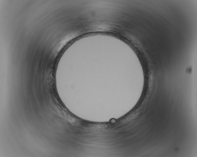 X0000112001210200909141053