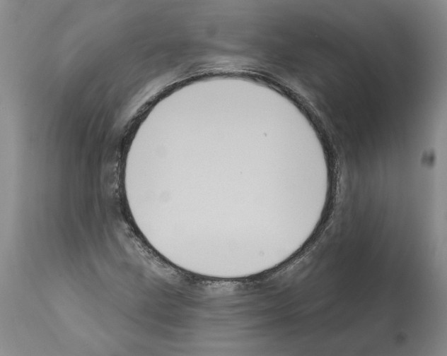 X0000112001211200909141053