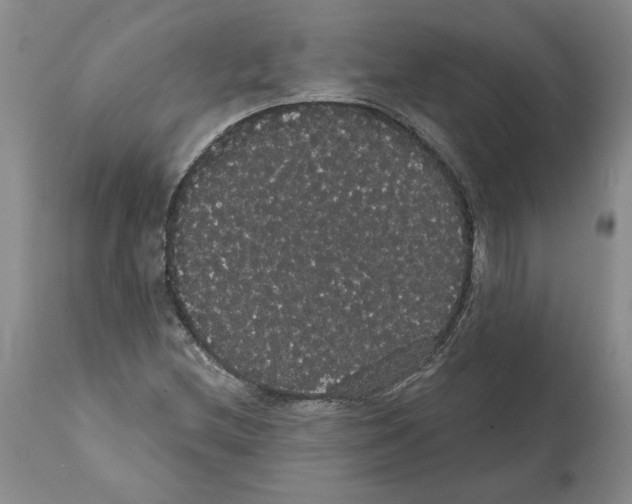 X0000112001212200909141053