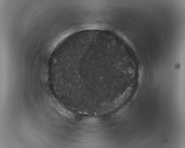 X0000112001213200909141053